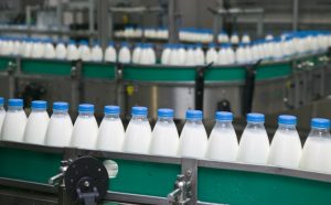 Heel veel melkflessen in een fabriek op een lopende band